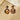 Push Back Stud Earring - Brass - Acetate - Stainless Steel Stud - 18K Real Gold Plated - 6.3gr - MJ900163 - MinjuanRong