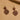 Wire Hook Earring - Raw Brass - Bodhi - Mahogany Wood - 6.6gr - MJ102372 - MinjuanRong