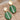 Push Back Stud Earring - Polymer Clay - Brass - Stainless Steel Stud - 18K Real Gold Plating - 6.7gr - MJ102517 - MinjuanRong