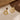 Push Back Stud Earring - Brass - Glass - Gold Tone Plated Brass - 9.3gr - MJ105580 - MinjuanRong