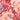 Scarf - Cut flowers for long scarves - Digital printing - 92.6 - MJ105362 - MinjuanRong