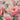 Scarf - Xiangyun gauze scarf - Digital printing - 113.6 - MJ105326 - MinjuanRong