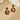 Push Back Stud Earring - Brass - Acetate - Stainless Steel Stud - 18K Real Gold Plated - 6.3gr - MJ900163 - MinjuanRong