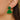 Push Back Stud Earring - Acrylic - Brass - 316 Stainless Steel Stud - 4gr - MJ102397 - MinjuanRong