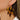 Push Back Stud Earring - Acetate - Brass - 316 Stainless Steel Stud - 18K Real Gold Plating - 9.5gr - MJ102553 - MinjuanRong