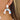 Push Back Stud Earring - Acrylic - Brass - 316 Stainless Steel Stud - 10.1gr - MJ202146 - MinjuanRong