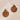 Push Back Stud Earring - Brass - Wooden - 316 Stainless Steel Stud - 18k real gold plating - Brown - 4.4gr - MJ103543 - MinjuanRong
