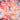 Scarf - Reversible square scarf - Digital printing - 66.5 - MJ105387 - MinjuanRong