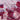 Scarf - Reversible square scarf - Digital printing - 67.8 - MJ105383 - MinjuanRong
