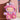 LABUBU DOLL CLOTHE - LABUBU COSTUME - PETPolyethylene Terephthalate - 20.5gr - MJ107220 - minjuanrong.com.tr